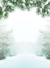 Naklejka premium forest in the frost. Winter landscape. Snow covered trees