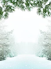 Deurstickers Winter bos in de vorst. Winterlandschap. Met sneeuw bedekte bomen