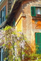 Fototapeta na wymiar Cityscape in Trastevere district Rome Italy