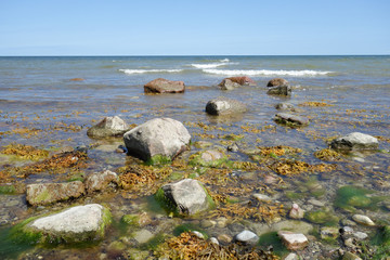 Fototapeta na wymiar Stones at the beach on Hiddensee Island, Germany