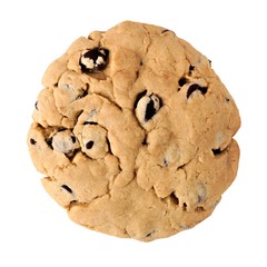 Single homemade chocolate chip cookie isolated on a white background