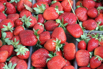 Strawberries background