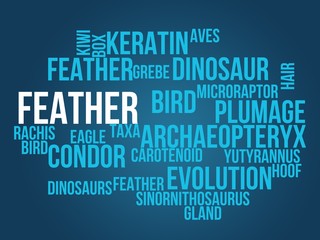 feather