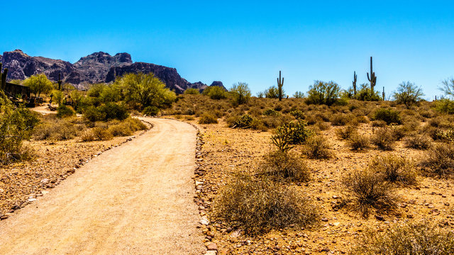 Desert Trail to Superstition Mountain in Tonto National Forest in Arizona, USA