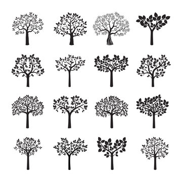 Set of black vector trees.