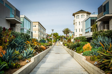 Fototapeta na wymiar Gardens and buildings along a walkway in Venice Beach, Los Angel