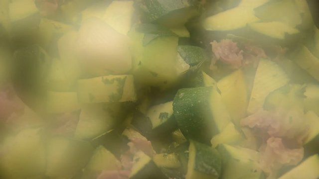 Sakız kabağı Cucurbita pepo thực vật c&oacute; hoa Dynia zwyczajna Sierpompoen Zucchine Тыква обыкновенная Zucchini