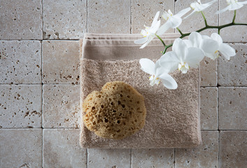 genuine washing up still-life with natural sponge, flat lay
