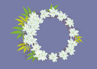 Crown jasmine flowers with leaves  top view  and side view .vector illustration