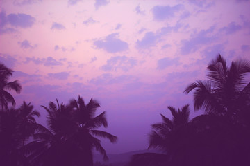 Fototapeta na wymiar Coconut palm trees at sunrise vintage filter