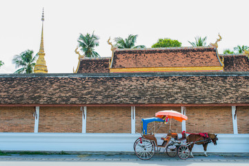 Traditional Horse Carriage ride in Wat Phra That Lampang Luang ,