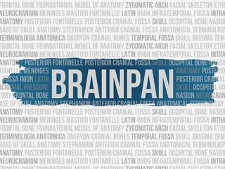 brainpan