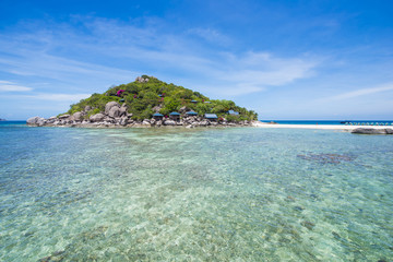 beautiful island and clear water at Koh Tao Thaialnd