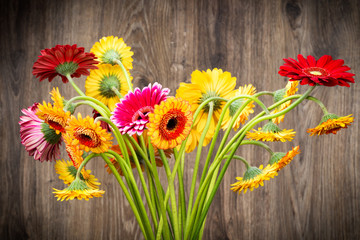 Colorful daisy flowers on wooden background