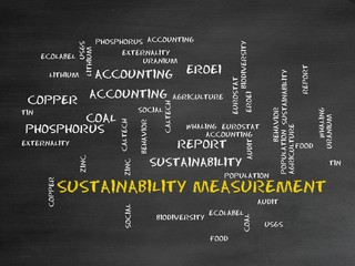 Sustainability measurement