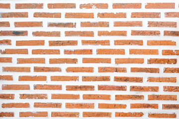 wood background
