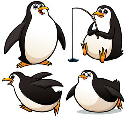 Fototapeta premium Vector illustration of Cartoon Penguin Character Set