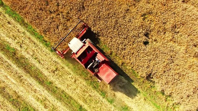 Aerial view of combine harvester. Harvest of rapeseed field. Industrial background on agricultural theme. Biofuel from Czech countryside. Agriculture and environment in European Union.