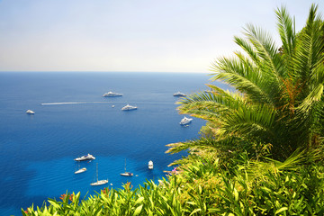 Fototapeta na wymiar Capri island - Campania region of Italy, Europe