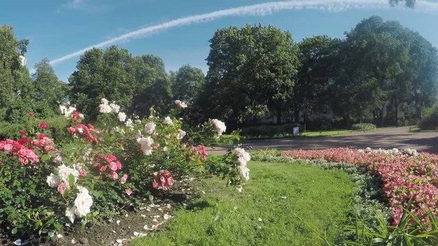 Flower Garden in city park