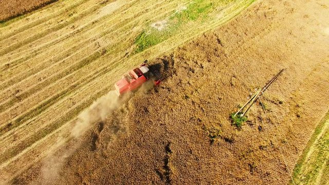 Aerial view of combine harvester. Harvest of rapeseed field. Industrial background on agricultural theme. Biofuel from Czech countryside. Agriculture and environment in European Union.