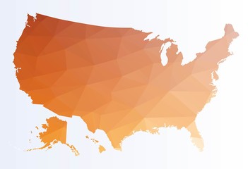 Polygonal map of Usa