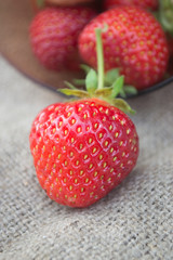 Свежая клубника
