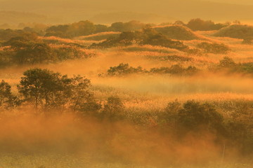 秋田県　冬師湿原の夜明け