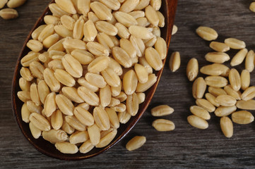 pearl barley in wooden spoon