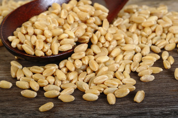 raw pearl barley