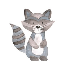Raccoon Woodland Animals Watercolor Hand-painted Illustratioin Isolated Grey