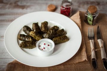 Dolmades stuffed with rice and meat