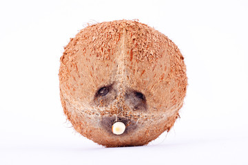 brown coconut shell  for coconut milk  on white background healthy fruit food isolated
