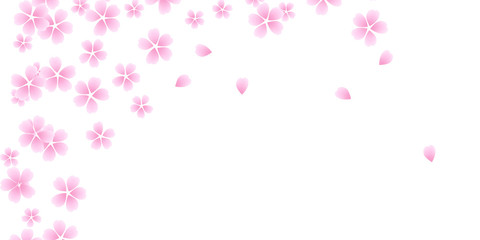 ピンクの桜　バナー　カード
