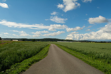 Fototapeta na wymiar A open road on the country side in lovely summer weather with blue sky