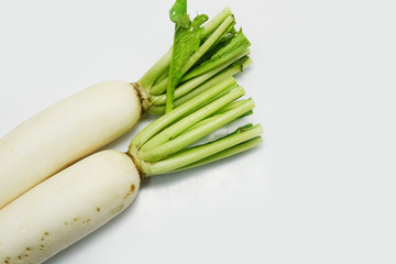 radish on white