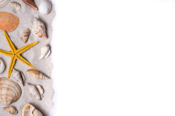 Seashells and starfish on a white background. Copy space for you