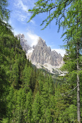 Cortina, Dolomiti, Italia  - panorama Monte Cristallo