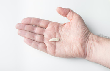 Sunflower seed in a man's hand on white background