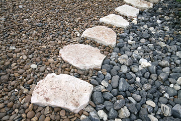 fragment of rock garden