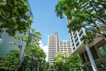 Fototapeta premium マンション