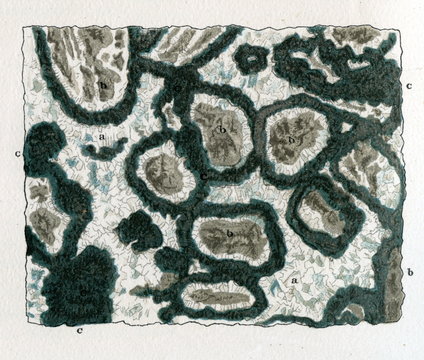 Cockade Ore