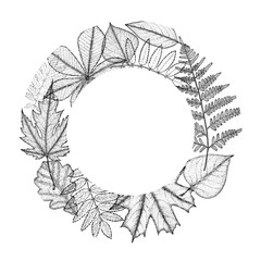 Circle from leaves with space for text. Hand drawing.