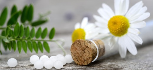 Naturheilkunde Globuli mit Kamille Chamomilla