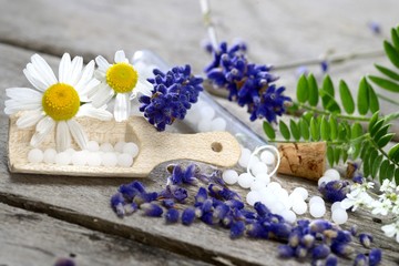 Naturheilkunde Globuli mit Kamille Chamomilla und Lavendel