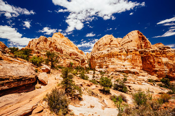 Fototapeta premium The Hickman Bridge Trail, Capital Reef National Park, Utah, USA