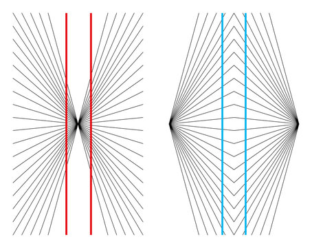 Hering and Wundt geometrical optical illusions. The two straight and parallel red lines appear as if they were bowed outwards and the two blue vertical lines look as if they are bowed inwards.