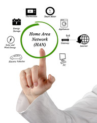 Home Area Network (HAN)