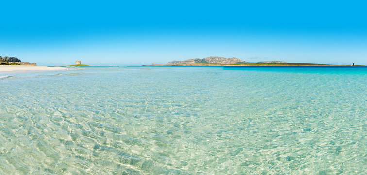 Fototapeta panoramic view of La Pelosa beach
