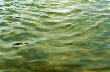 Abstract water in the lake surface.